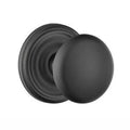 Flat Black Double Dummy Door Knob with Regular Rose U14559