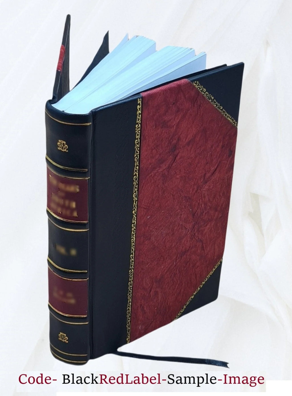 Leather Bound Book R824