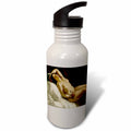 21 oz Sports Water Bottle E92143