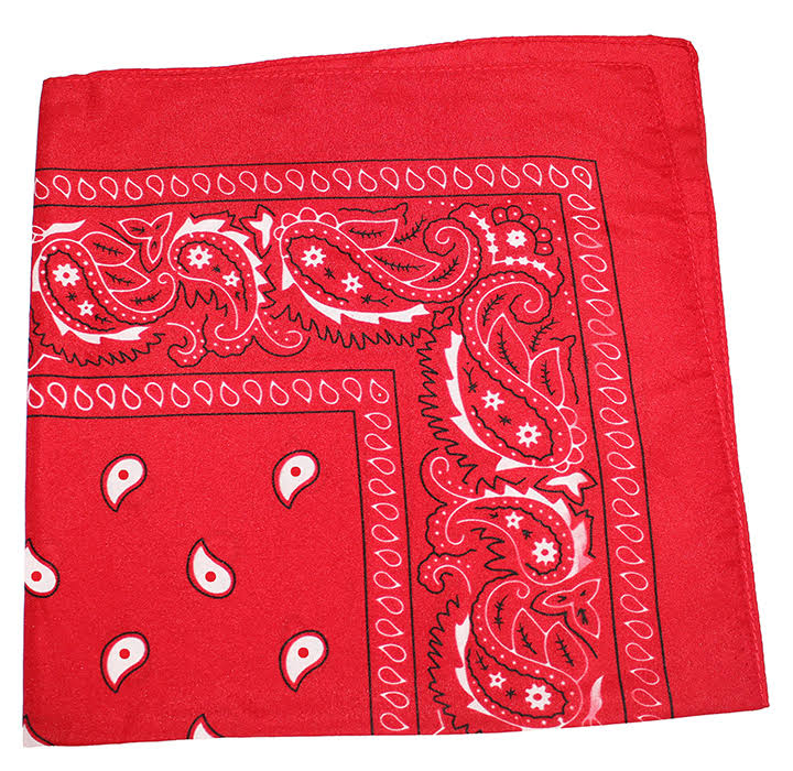 96 Pack 100% Polyester Paisley Bandanas (Hot Pink) T293
